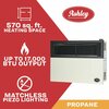 Ashley Hearth Products 17,000 BTU Direct Vent Propane Wall Heater DVAG17L